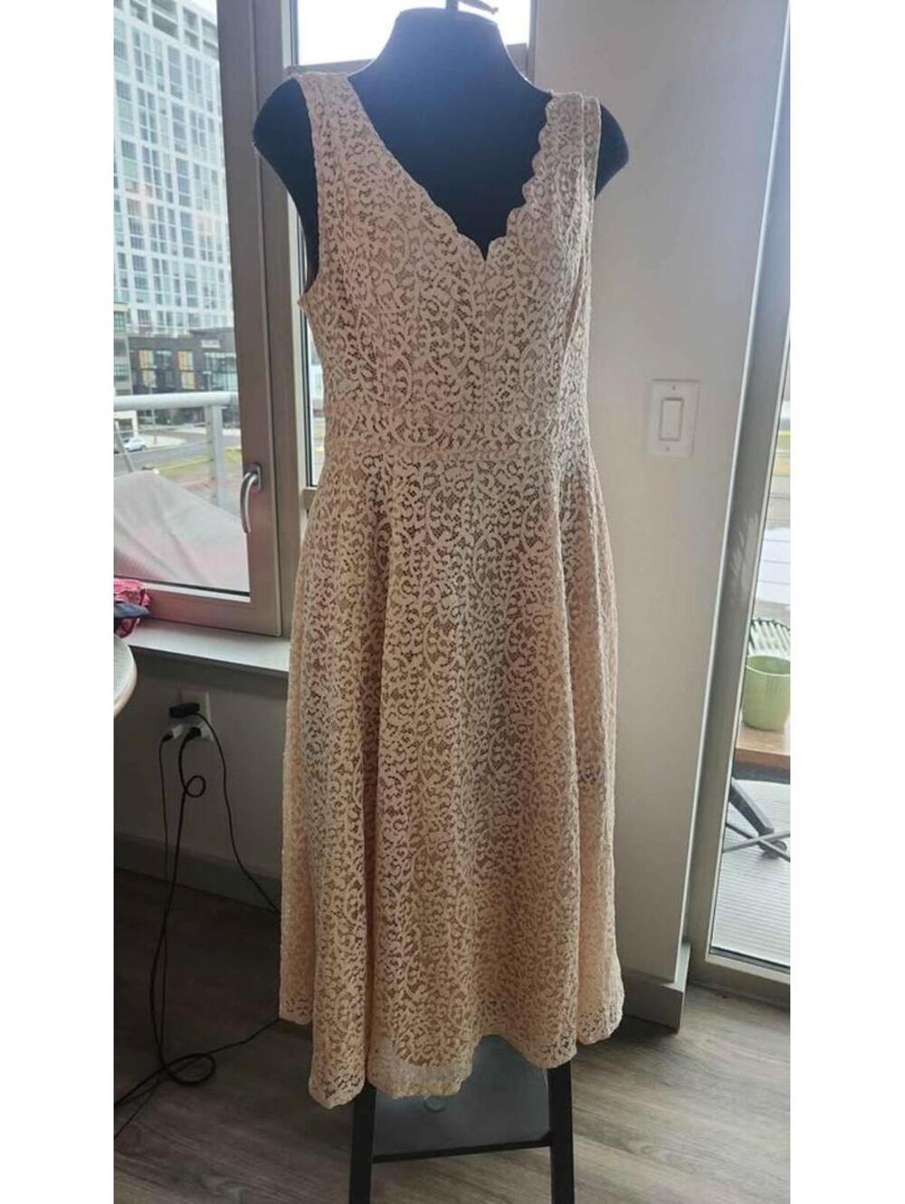 Blush Lace Sleeveless Dress Scalloped Neckline with Bridal Influence Woman Sz 14